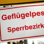 Informationen zur Geflügelpest